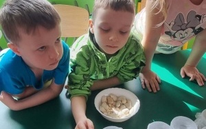 Grupa integracyjna (6)