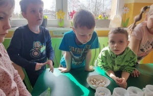 Grupa integracyjna (7)