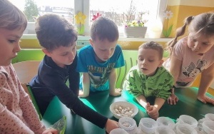 Grupa integracyjna (8)