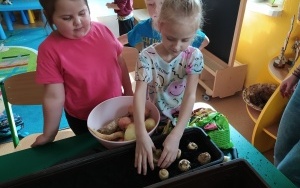 Grupa integracyjna (5)