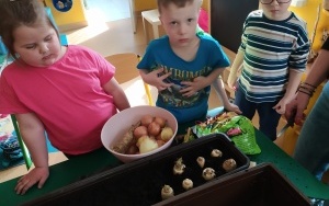 Grupa integracyjna (6)