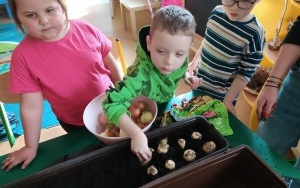 Grupa integracyjna (7)