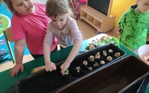 Grupa integracyjna (11)