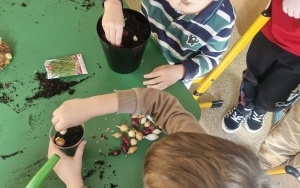 Grupa 5 - 6 latki (1)