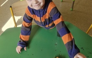 Grupa 5 - 6 latki (3)