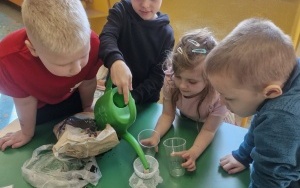 Grupa 5 - 6 latki (4)