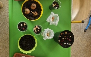 Grupa 5 - 6 latki (7)