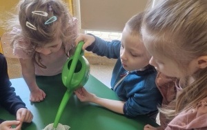 Grupa 5 - 6 latki (8)