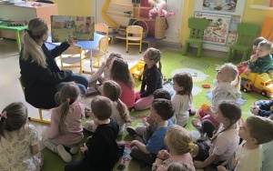 Książka o motylach (1)