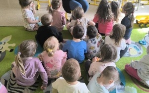 Książka o motylach (4)