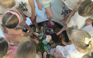 Doświadczenia sensoryczne (7)