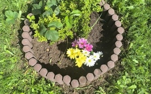 Kwiaty i warzywa (6)