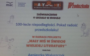 "Mały Miś w Świecie Wielkiej Literatury" - Ogólnopolski Program