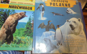 "Dzień Niedźwiedzia Polarnego" - zajęcia biblioteczne 6 latków