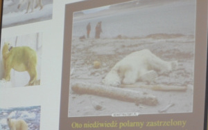 "Dzień Niedźwiedzia Polarnego" - zajęcia biblioteczne 6 latków