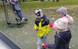 Zajęcia przyrodnicze w Parku Grabek