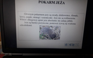 "Dzień jeża" w grupie 6 latków