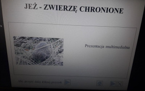 "Dzień jeża" w grupie 6 latków