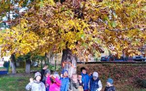 "Święto Drzewa" grupie 5 latków (1)