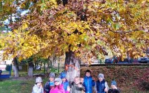 "Święto Drzewa" grupie 5 latków (6)