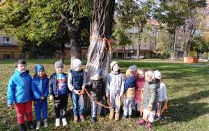 "Święto Drzewa" grupie 5 latków (11)