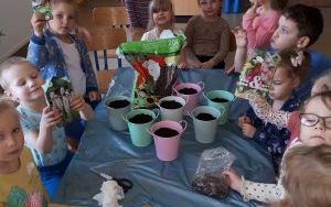 Grupa 4 latki wysiewała kwiaty i zioła (1)