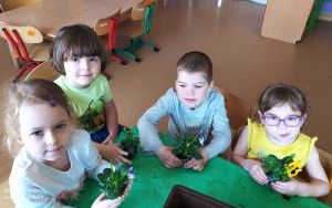 Zielony kącik przyrody w grupie 5 latków (5)