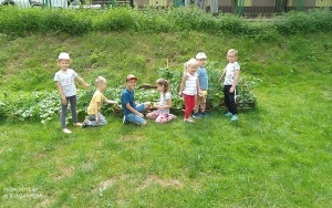Nasze pierwsze zbiory z przedszkolnego ogrodu (2)