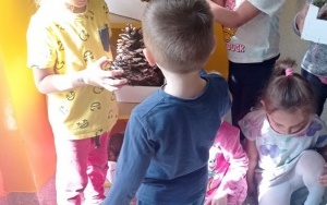Segregowanie zabawek w grupie 4 - 5 latków (1)
