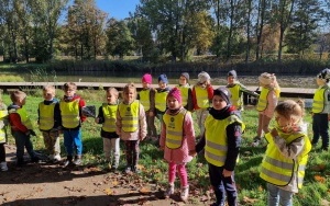 Poszukiwanie jesieni przez dzieci z grupy 5 - 6 latków (7)