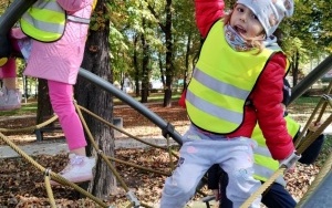 Poszukiwanie jesieni przez dzieci z grupy 5 - 6 latków (8)