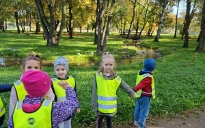 Poszukiwanie jesieni przez dzieci z grupy 5 - 6 latków (8)