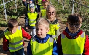 Poszukiwanie jesieni przez dzieci z grupy 5 - 6 latków (9)