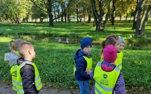 Poszukiwanie jesieni przez dzieci z grupy 5 - 6 latków (6)